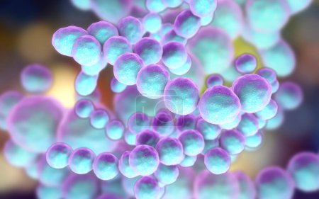 Foto de Bacterias Peptococcus, cocos grampositivos anaeróbicos, son parte del microbioma humano en el intestino y también causan inflamaciones de diferente ubicación, ilustración 3D - Imagen libre de derechos