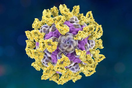 Foto de Parechovirus con moléculas de integrina unidas que sirven como receptores celulares, ilustración 3D - Imagen libre de derechos