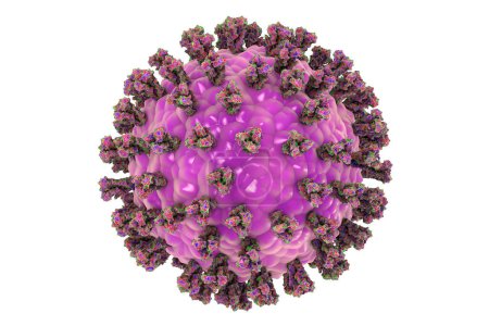 Foto de Virus de la parainfluenza aislado sobre fondo blanco, ilustración 3D. Virus del resfriado común. Paramixovirus. La ilustración muestra la estructura del virus de la parainfluenza con picos de glicoproteína de superficie - Imagen libre de derechos