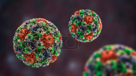 Photo for Human papillomavirus, a virus which causes warts located mainly on hands and feet, some strains infect genitals and can cause cervical cancer, 3D illustration - Royalty Free Image