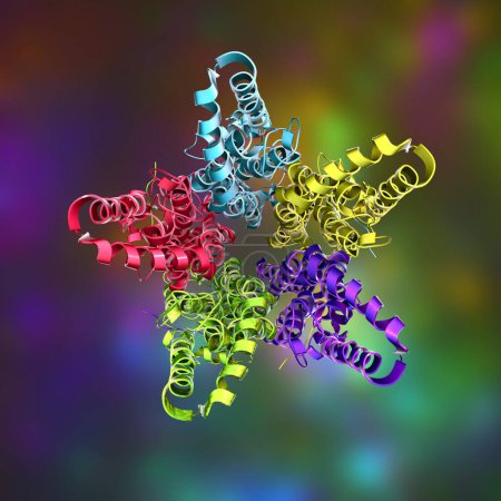 Foto de Molecular model of Bestrophin-1 (Best 1) protein, 3D illustration. Proteína responsable de regular la señalización de calcio en las células. La mutación del mejor1 causa un grupo de enfermedades degenerativas de la retina - Imagen libre de derechos