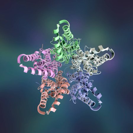 Foto de Molecular model of Bestrophin-1 (Best 1) protein, 3D illustration. Proteína responsable de regular la señalización de calcio en las células. La mutación del mejor1 causa un grupo de enfermedades degenerativas de la retina - Imagen libre de derechos