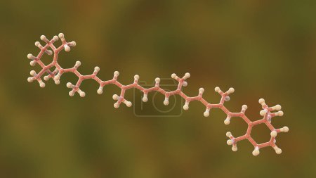 Photo for Molecular model of beta-carotene pigment, precursor to vitamin A, 3d illustration - Royalty Free Image