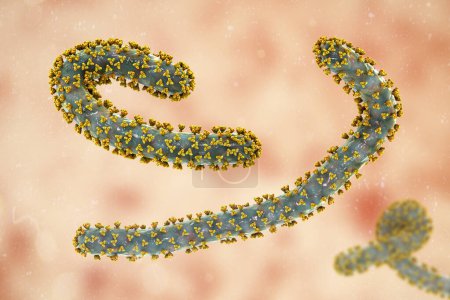 Photo for A skin rash on the chest of a patient with Marburg hemorrhagic fever, photorealistic 3D illustration - Royalty Free Image