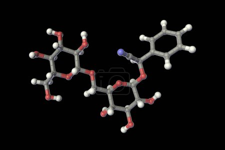 Photo for Molecular model of amygdalin, also known as laetrile or vitamin B17, 3D illustration. A naturally occurring compound found in the pits of many fruits, including apricots. - Royalty Free Image