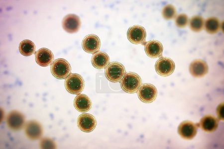Photo for Microscopic fungi Lacazia loboi, the causative agent of lobomycosis, a chronic skin disease characterized by nodular and keloidal lesions primarily affecting the limbs and ears, 3D illustration - Royalty Free Image