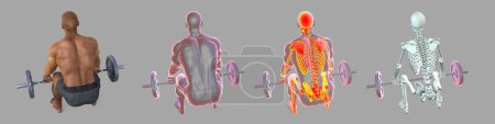Photo for A man lifting a barbell with and without highlighted skeleton, 3d illustration - Royalty Free Image