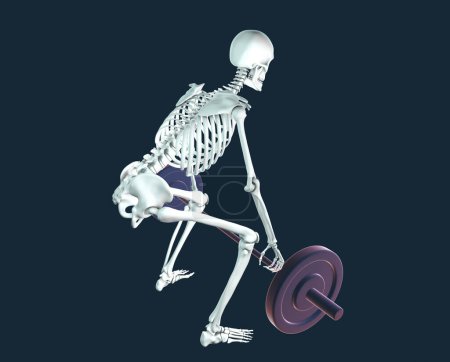 Photo for A human skeleton lifting a barbell, conceptual 3d illustration - Royalty Free Image