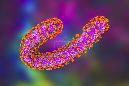 Foto de Virus Marburg, ilustración en 3D. Virus ARN que causan fiebre hemorrágica de Marburg. Pertenecen a la familia Filoviridae, lo mismo que el virus del Ébola - Imagen libre de derechos