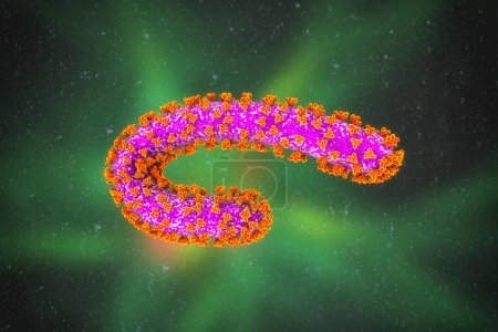 Foto de Virus Marburg, ilustración en 3D. Virus ARN que causan fiebre hemorrágica de Marburg. Pertenecen a la familia Filoviridae, lo mismo que el virus del Ébola - Imagen libre de derechos