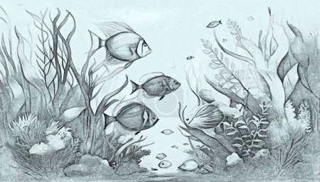 Foto de Hermoso mundo submarino con corales y peces tropicales, ilustración digital en estilo de boceto - Imagen libre de derechos