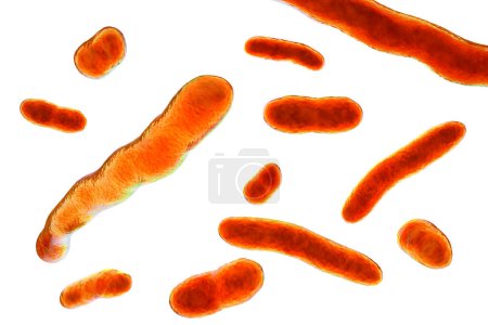 Foto de Elizabethkingia meningoseptica bacteria, ilustración 3D. Anteriormente conocido como Flavobacterium meningosepticum, puede causar meningitis en bebés prematuros y adultos con deficiencias inmunitarias. - Imagen libre de derechos