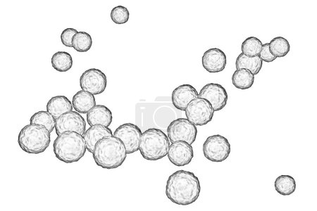 Foto de Bacterias Enterococo aislado sobre fondo blanco, ilustración 3D. Cocos grampositivos que causan endocarditis infantil y otras infecciones - Imagen libre de derechos
