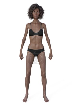 Téléchargez les photos : Une illustration 3D d'un corps féminin avec un type de corps ectomorphe, caractérisé par une construction maigre et mince avec un minimum de graisse corporelle. - en image libre de droit