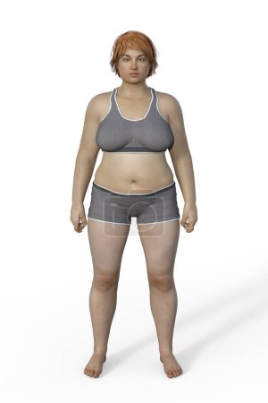Photo for A 3D illustration of a female body with an endomorph body type, characterized by a higher percentage of body fat and a rounder shape. - Royalty Free Image