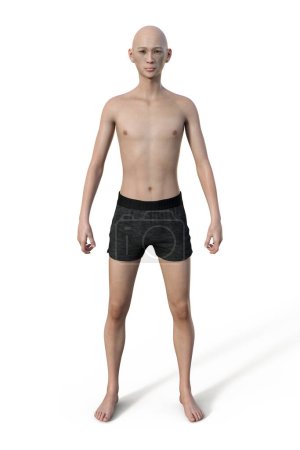 Foto de Ilustración 3D de un cuerpo masculino con tipo de cuerpo ectomorfo, caracterizado por una estructura magra y delgada con una grasa corporal mínima. - Imagen libre de derechos