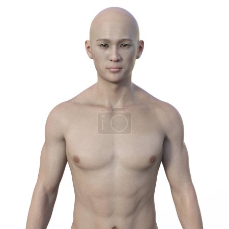 Photo for A 3D photorealistic illustration featuring the upper half part of an Asian man, confidently gazing at the camera, revealing his skin, facial expressions, and intricate body anatomy - Royalty Free Image