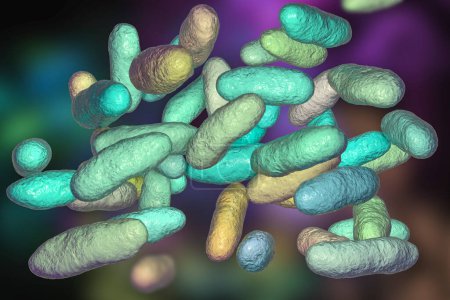Téléchargez les photos : Bactéries Aeromonas, illustration 3D. A bacille Gram négatif en forme de bâtonnet associé à une septicémie, une pneumonie et une gastro-entérite chez l'humain. - en image libre de droit