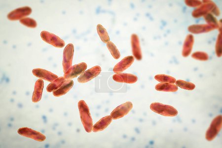 Foto de Bacterias Aeromonas, ilustración 3D. Un bacilo gramnegativo en forma de vara asociado con septicemia, neumonía y gastroenteritis en humanos. - Imagen libre de derechos