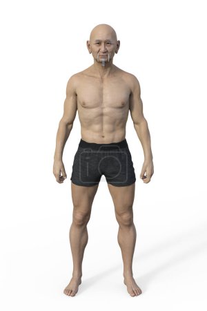 Photo for A 3D illustration of a male body with mesomorph body type, characterized by a muscular and athletic build with broad shoulders and narrow waist. - Royalty Free Image