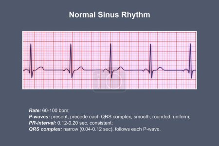 Téléchargez les photos : Un électrocardiogramme ECG normal, illustration 3D montrant l'activité électrique du cœur chez un individu en bonne santé. - en image libre de droit