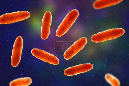 Photo for Klebsiella bacteria, a type of Gram-negative bacteria known for causing a range of infections, including pneumonia and urinary tract infections, 3D illustration. - Royalty Free Image