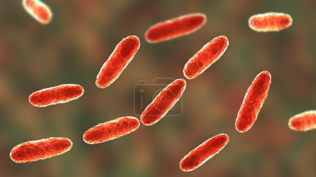 Foto de La bacteria Klebsiella, un tipo de bacteria Gram-negativa conocida por causar una variedad de infecciones, incluyendo neumonía e infecciones del tracto urinario, ilustración 3D. - Imagen libre de derechos