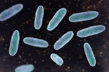 Téléchargez les photos : La bactérie Klebsiella, un type de bactérie Gram négatif connu pour causer une gamme d'infections, y compris la pneumonie et les infections des voies urinaires, illustration 3D. - en image libre de droit