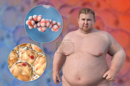 Foto de Una ilustración médica en 3D que presenta a un hombre con sobrepeso con una visión cercana de los adipocitos y las moléculas de colesterol, destacando la relación entre la obesidad y el metabolismo del colesterol. - Imagen libre de derechos