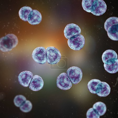 Foto de Streptococcus pneumoniae bacteria, también conocido como neumococo, bacterias grampositivas responsables de causar diversas infecciones del tracto respiratorio, incluyendo neumonía, ilustración 3D. - Imagen libre de derechos