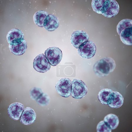 Téléchargez les photos : Bactéries Streptococcus pneumoniae, également connues sous le nom de pneumocoque, bactéries Gram-positives responsables de diverses infections des voies respiratoires, y compris la pneumonie, illustration 3D. - en image libre de droit