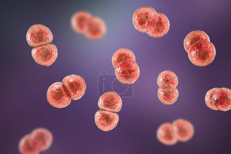 Photo for Streptococcus pneumoniae bacteria, also known as pneumococcus, Gram-positive bacteria responsible for causing various respiratory tract infections, including pneumonia, 3D illustration. - Royalty Free Image