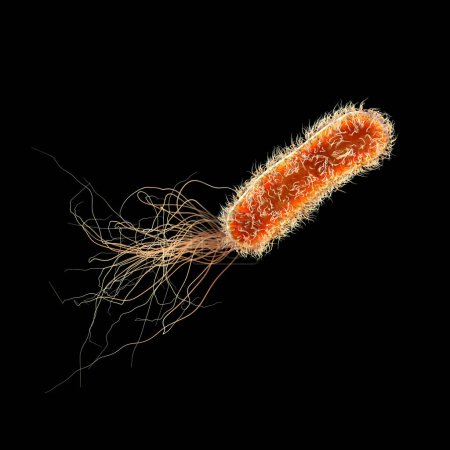 Téléchargez les photos : Bactéries pseudomonas, bactéries Gram négatives couramment associées aux infections associées aux soins de santé, en particulier les infections des voies respiratoires et des plaies, illustration 3D. - en image libre de droit