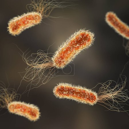 Bactéries pseudomonas, bactéries Gram négatives couramment associées aux infections associées aux soins de santé, en particulier les infections des voies respiratoires et des plaies, illustration 3D.
