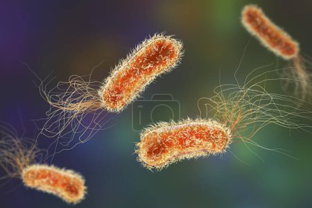 Foto de Bacterias pseudomonas, bacterias gramnegativas comúnmente asociadas con infecciones asociadas a la atención médica, particularmente infecciones de vías respiratorias y heridas, ilustración 3D. - Imagen libre de derechos