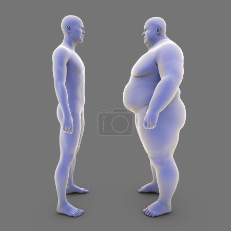 Téléchargez les photos : Une personne de poids normal debout devant sa variante réfléchie par miroir en surpoids, illustration 3D conceptuelle symbolisant la motivation pour le comportement de contrôle du poids et l'amélioration de soi. - en image libre de droit