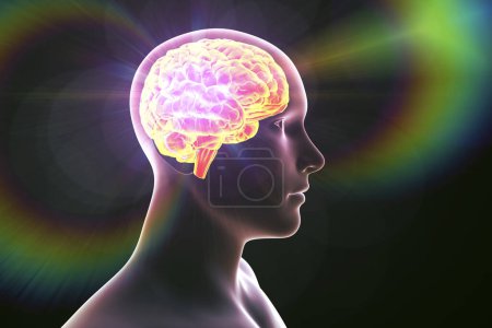 Foto de Ilustración científica en 3D del campo energético generado por el cerebro, la mente y los pensamientos humanos, que representa los procesos cognitivos. - Imagen libre de derechos