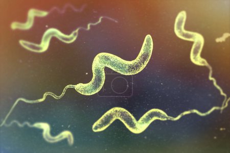 Campylobacter bacteria, 3D illustration. Gram-negative spiral-shaped bacteria, Campylobacter jejuni and C. coli, cause campylobacteriosis in humans.