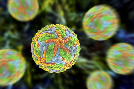 Foto de Virus del dengue, un grupo de virus ARN transmitidos por mosquitos y responsables de causar dengue, ilustración 3D. - Imagen libre de derechos