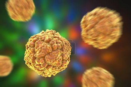Téléchargez les photos : Virus Echo, illustration 3D, un groupe de petits virus à ARN monocaténaire du genre Enterovirus, connus pour causer une gamme de maladies, y compris les infections respiratoires et gastro-intestinales. - en image libre de droit