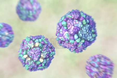 Foto de Echo virus, ilustración 3D, un grupo de virus pequeños de ARN monocatenario del género Enterovirus, conocidos por causar una serie de enfermedades, incluyendo infecciones respiratorias y gastrointestinales. - Imagen libre de derechos