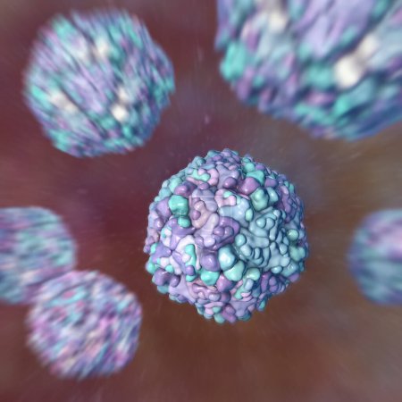 Foto de Echo virus, ilustración 3D, un grupo de virus pequeños de ARN monocatenario del género Enterovirus, conocidos por causar una serie de enfermedades, incluyendo infecciones respiratorias y gastrointestinales. - Imagen libre de derechos