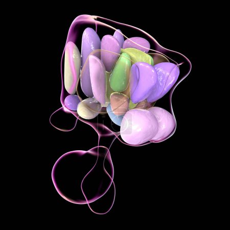 Téléchargez les photos : Illustration 3D détaillée des noyaux hypothalamiques, montrant le centre de contrôle vital du cerveau pour diverses fonctions physiologiques. - en image libre de droit