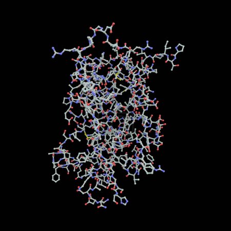 Human growth hormone molecule (hGH, Somatotropin), 3D illustration. Natural hormone that is used both as a medicine and as a doping agent.