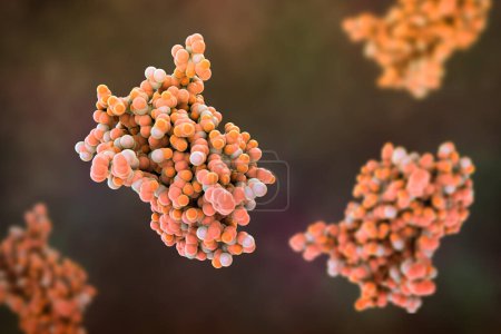 Photo for Human growth hormone molecule (hGH, Somatotropin), 3D illustration. Natural hormone that is used both as a medicine and as a doping agent. - Royalty Free Image