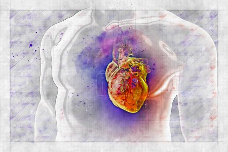 Téléchargez les photos : Coeur humain avec vaisseaux cardiaques à l'intérieur du corps humain, illustration 3D dans le style croquis. - en image libre de droit
