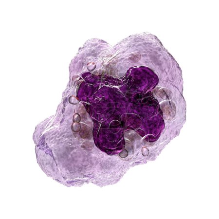 Foto de Ilustración 3D intrincada que muestra la estructura interna de una célula macrófaga, revelando sus componentes y funciones vitales. - Imagen libre de derechos
