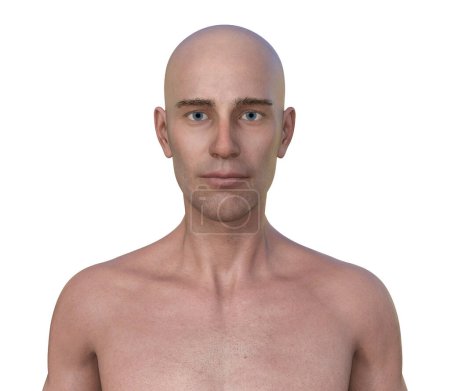 Téléchargez les photos : Illustration photoréaliste 3D représentant la moitié supérieure d'un homme d'âge moyen, révélant sa peau, ses expressions faciales et son anatomie corporelle complexe. - en image libre de droit