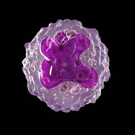 Foto de Ilustración 3D detallada que revela la intrincada estructura interna de una célula monocitaria, vital en la defensa del sistema inmunitario. - Imagen libre de derechos