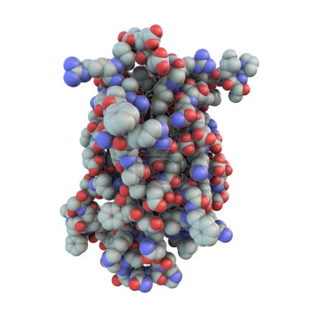 Foto de Molécula de hormona de crecimiento humano (hGH, Somatotropina), ilustración 3D. Hormona natural que se utiliza como medicamento y como agente dopante. - Imagen libre de derechos